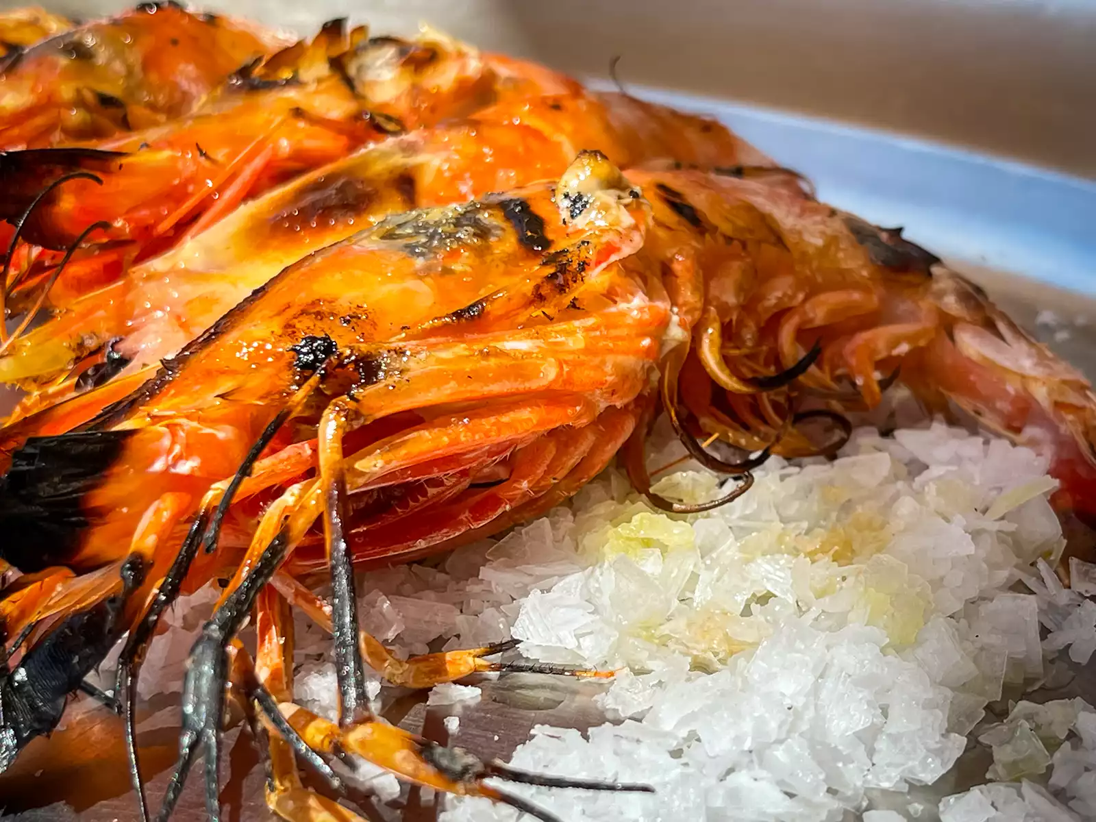 Periplo in Portixol - das Update